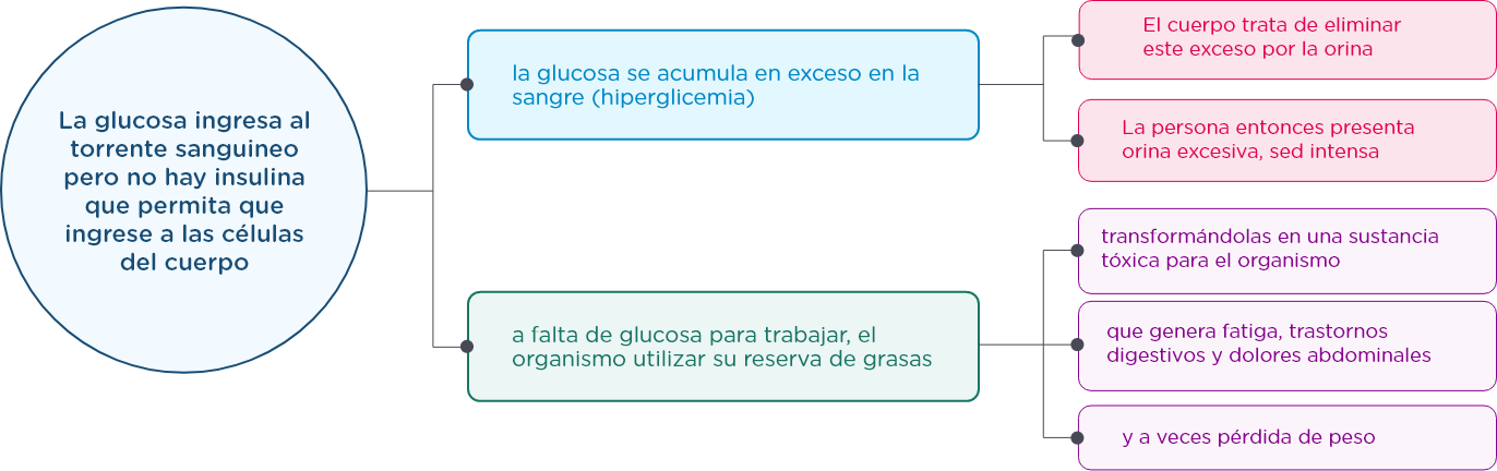 grafico estudio