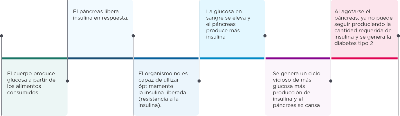 grafico estudio