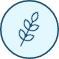 icono 5