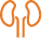 Ícono 1
